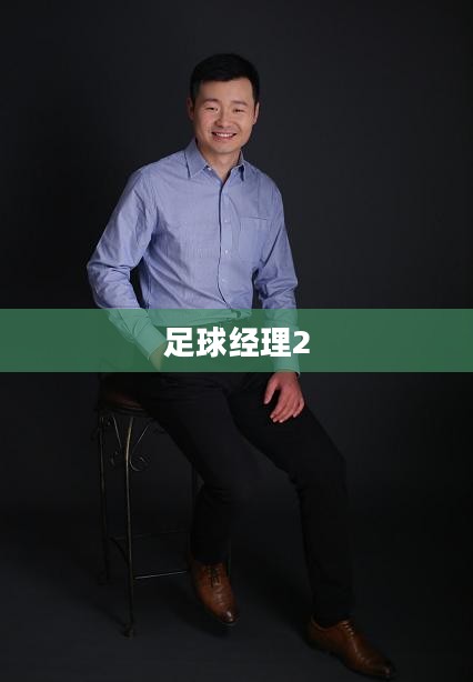 足球经理2，策略、挑战与激情的完美结合