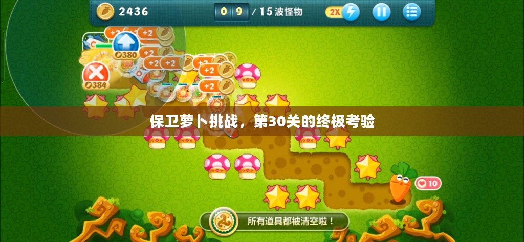 保卫萝卜挑战，第30关的终极考验
