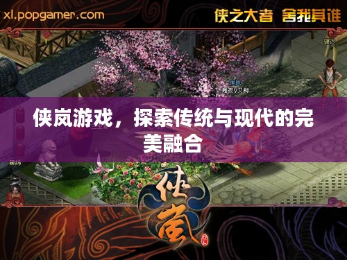 侠岚游戏，探索传统与现代的完美融合