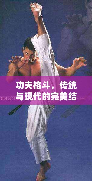 功夫格斗，传统与现代的完美结合