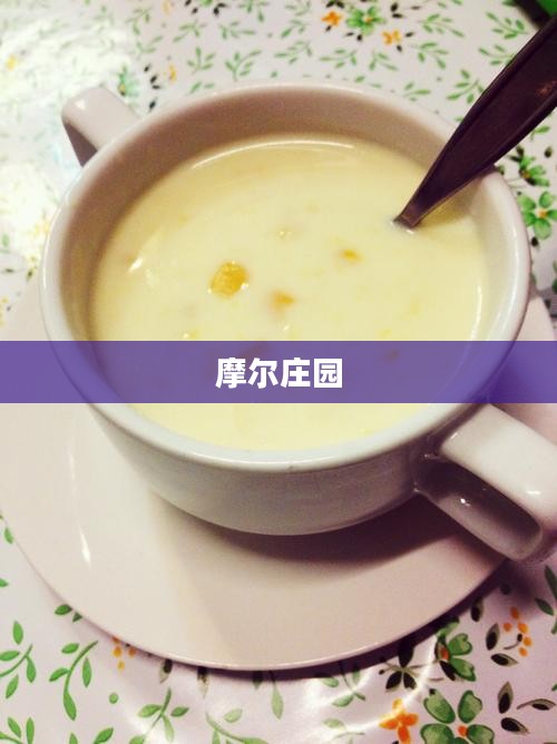 摩尔庄园中的奶油玉米浓汤，一道庄园美食的探寻之旅