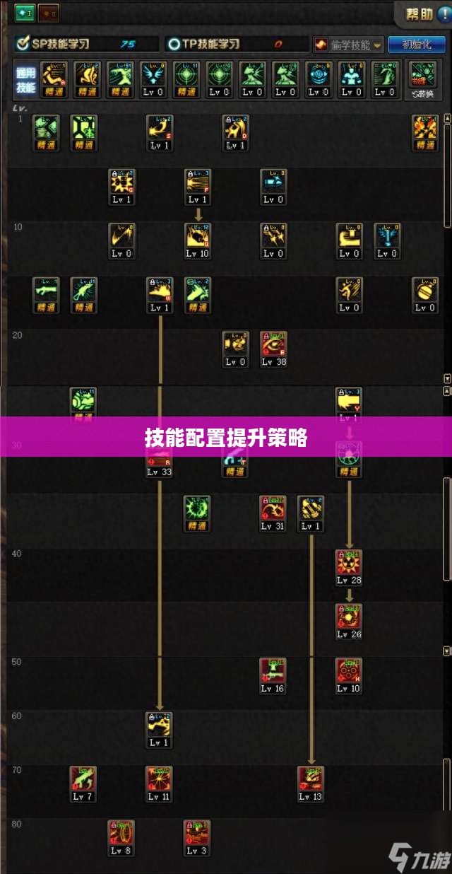 女枪加点攻略,技能配置与提升策略 女枪加点攻略,技能配置与提升策略
