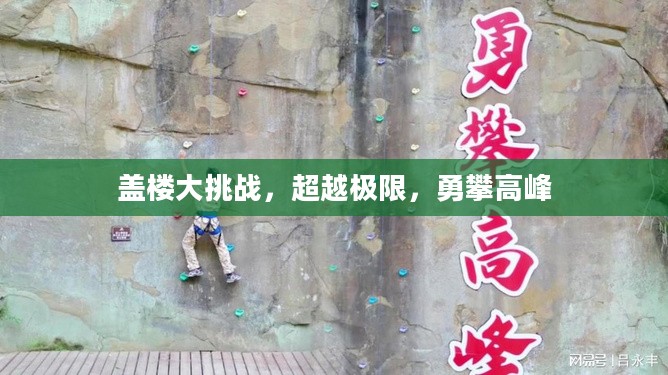 盖楼大挑战，超越极限，勇攀高峰
