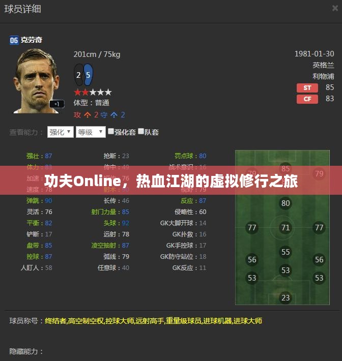 功夫Online,热血江湖的虚拟修行之旅 功夫Online,热血江湖的虚拟修行之旅