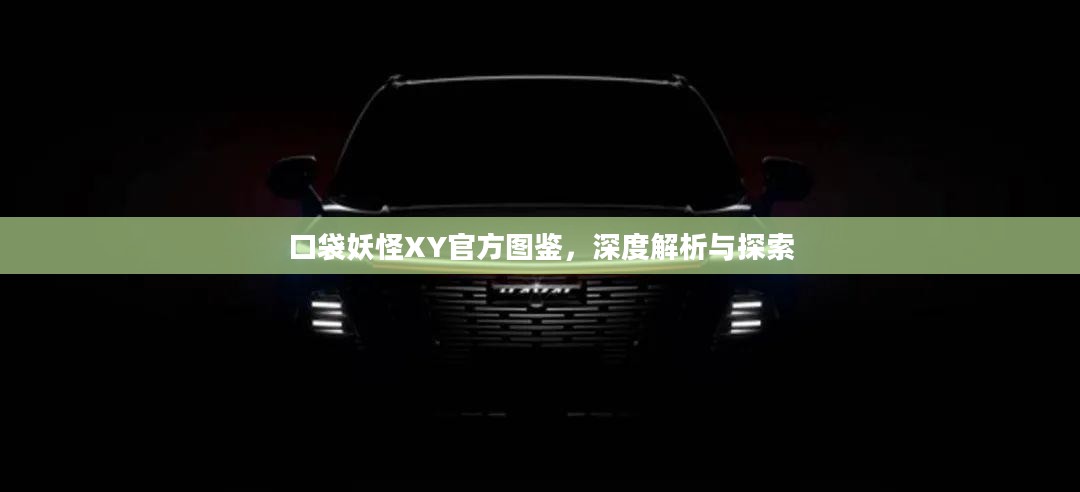 口袋妖怪XY官方图鉴,深度解析与探索 口袋妖怪XY官方图鉴,深度解析与探索