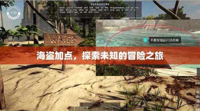 海盗加点，探索未知的冒险之旅