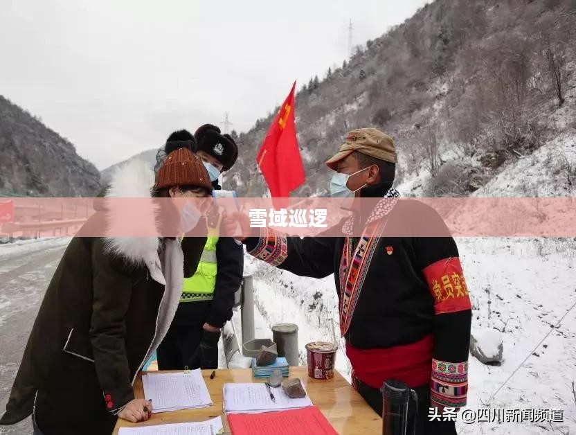 雪域巡逻，SnowPatrol的使命与勇气