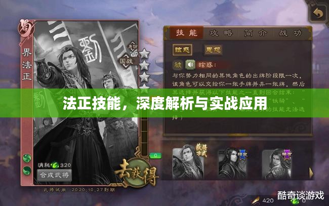 法正技能，深度解析与实战应用