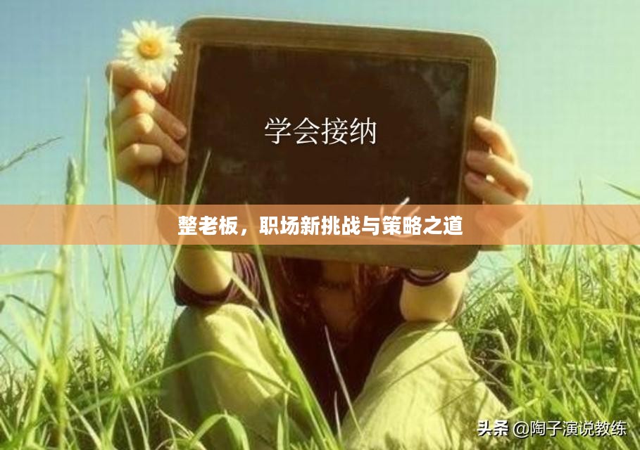整老板，职场新挑战与策略之道
