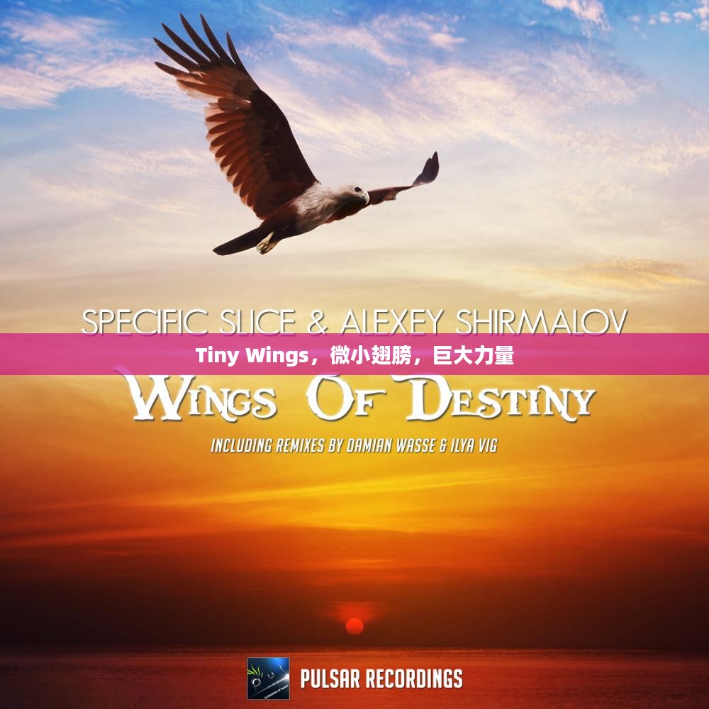 Tiny Wings，微小翅膀，巨大力量