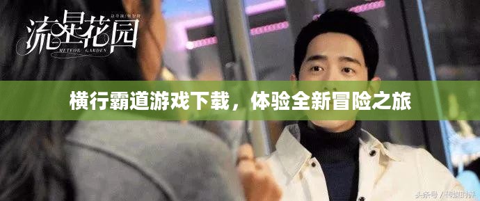 横行霸道游戏下载,体验全新冒险之旅 横行霸道游戏下载,体验全新冒险之旅