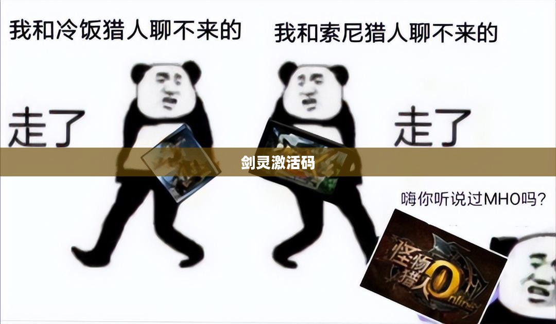 剑灵激活码的获取方法与途径
