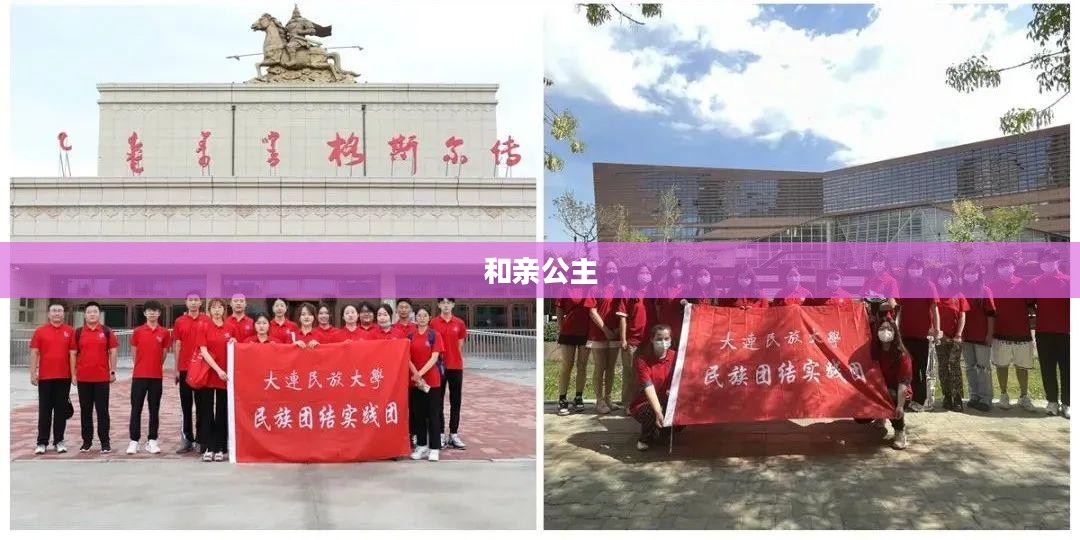 和亲公主，历史与文化的交融在新浪txt展现