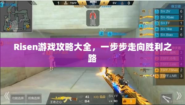 Risen游戏攻略大全，一步步走向胜利之路