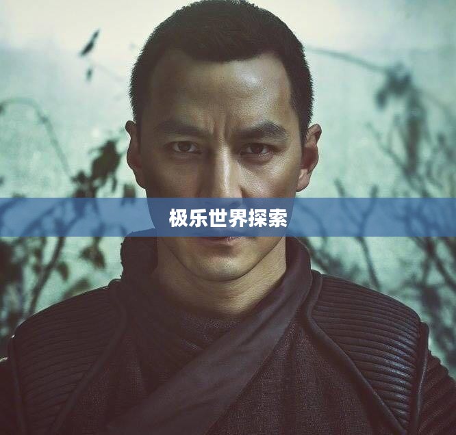 探索极乐世界的下载之旅