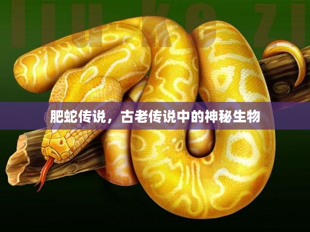 肥蛇传说，古老传说中的神秘生物