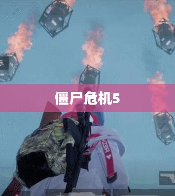 僵尸危机5，生存与希望的曙光