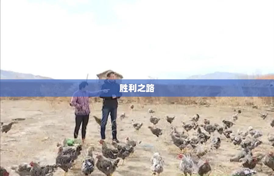 胜利之路，足球的魅力与荣耀