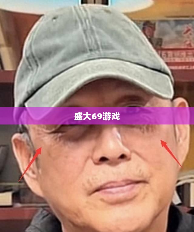 盛大69游戏，探索经典游戏的魅力之旅