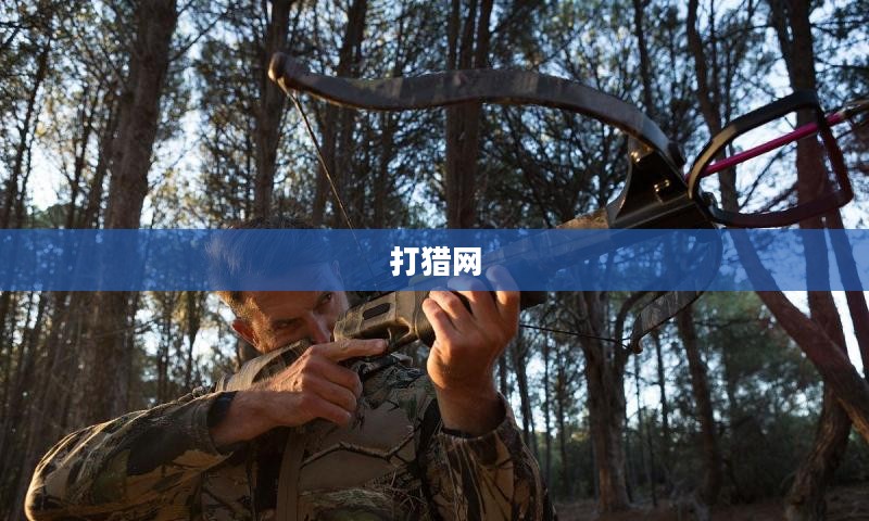 打猎网，现代狩猎活动中的技术革新