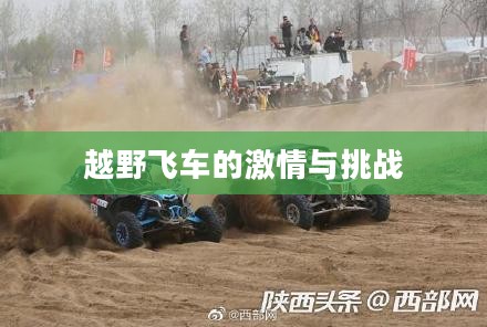 越野飞车的激情与挑战 越野飞车的激情与挑战