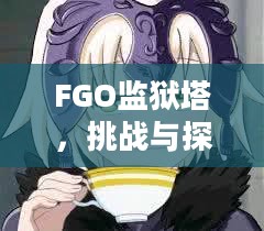 FGO监狱塔，挑战与探索的史诗之旅