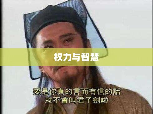 天下霸业，权力、智慧与荣耀的交织
