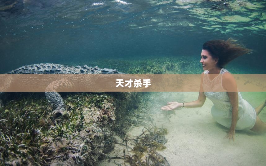 天才杀手，神秘而引人注目的传奇