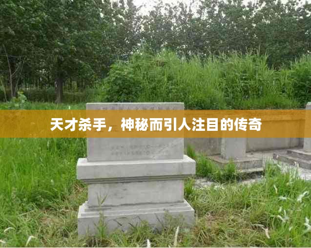 天才杀手,神秘而引人注目的传奇 天才杀手,神秘而引人注目的传奇
