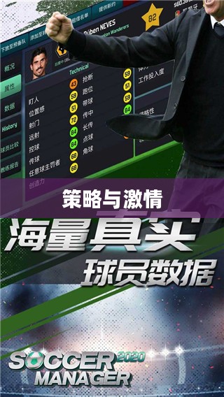 梦幻足球经理，游戏背后的策略与激情