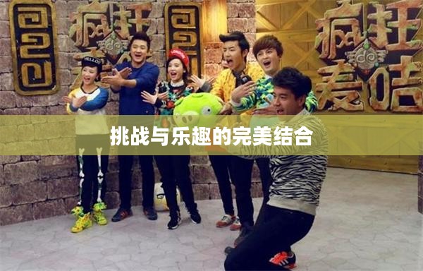 疯狂的麦咭游戏，挑战与乐趣的完美结合