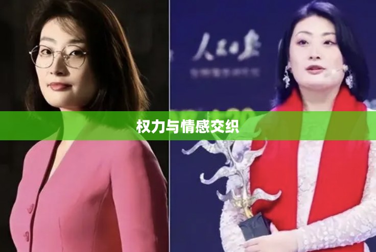 重生之豪门贵女，权力与情感的交织