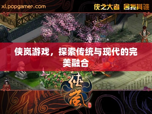 侠岚游戏，探索传统与现代的完美融合