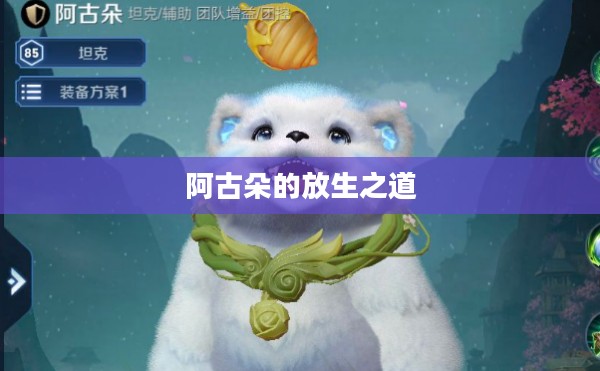 阿古朵的放生之道，深度解析与操作指南