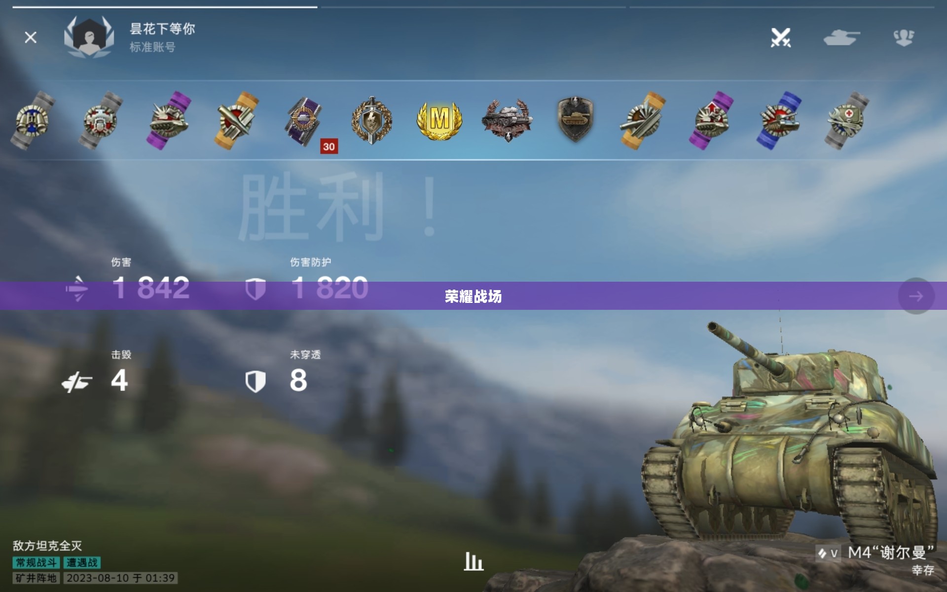 王牌坦克手，钢铁巨兽的荣耀战场
