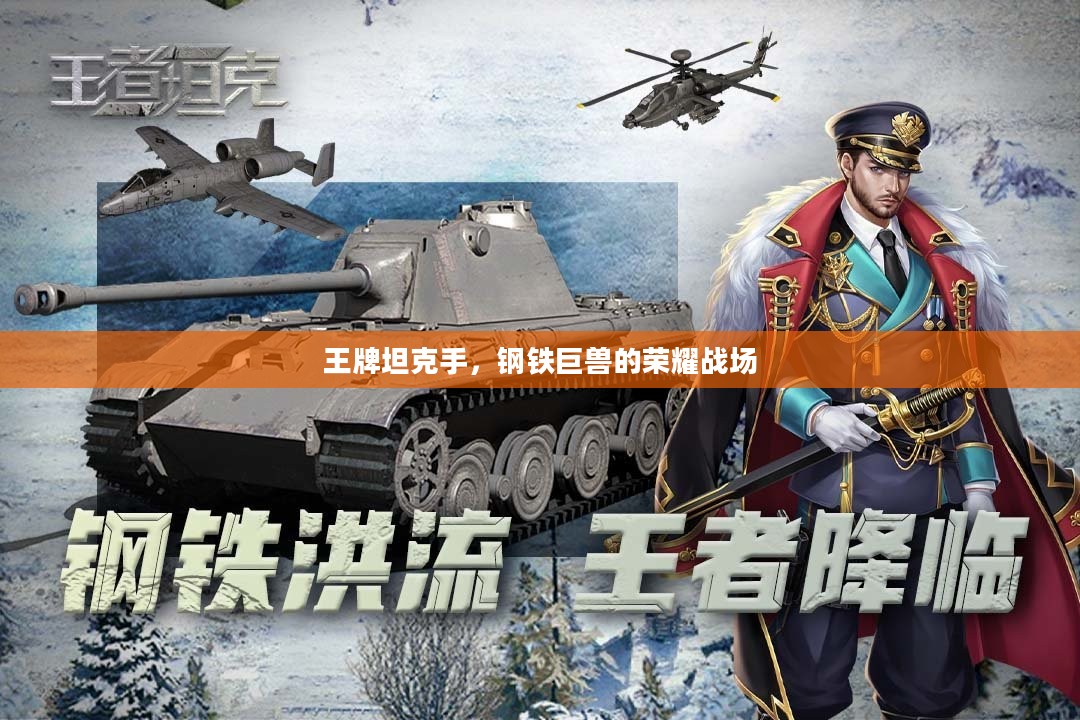 王牌坦克手,钢铁巨兽的荣耀战场 王牌坦克手,钢铁巨兽的荣耀战场