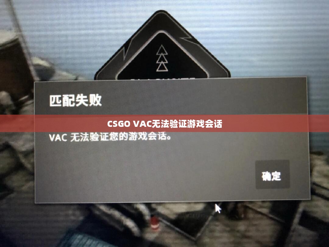 CSGO VAC无法验证游戏会话，问题解析与解决方案
