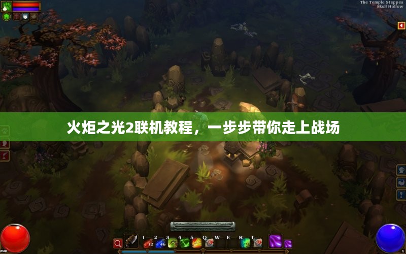 火炬之光2联机教程，一步步带你走上战场
