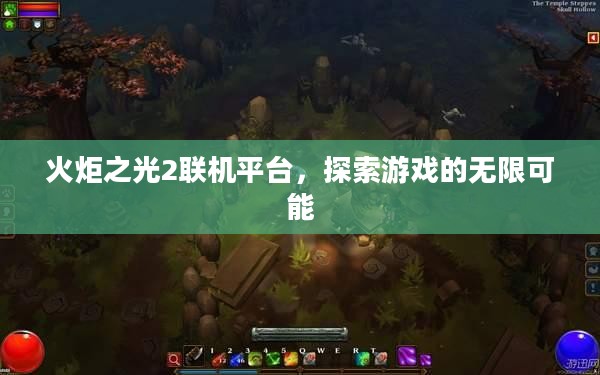 火炬之光2联机平台,探索游戏的无限可能 火炬之光2联机平台,探索游戏的无限可能