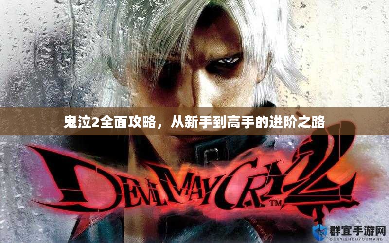 鬼泣2全面攻略,从新手到高手的进阶之路 鬼泣2全面攻略,从新手到高手的进阶之路