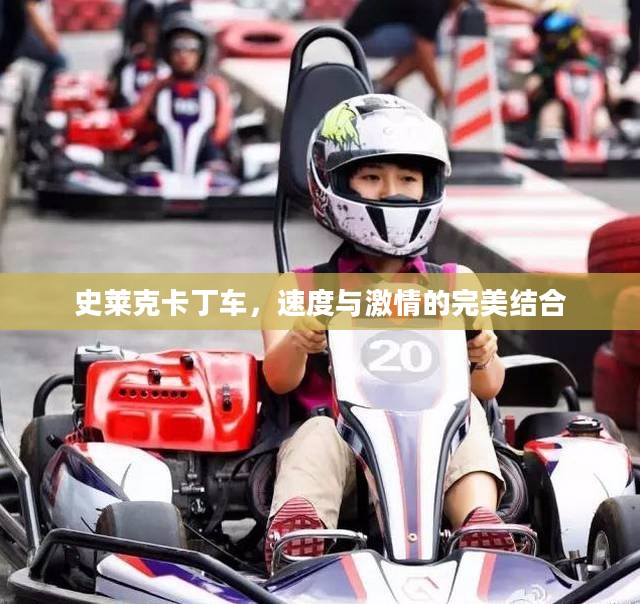 史莱克卡丁车，速度与激情的完美结合