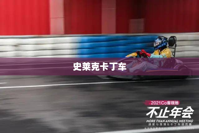 史莱克卡丁车,速度与激情的完美结合 史莱克卡丁车,速度与激情的完美结合
