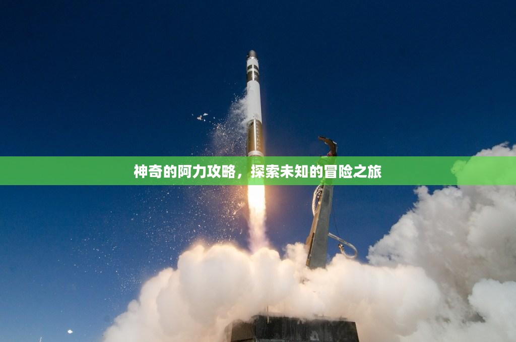 神奇的阿力攻略，探索未知的冒险之旅