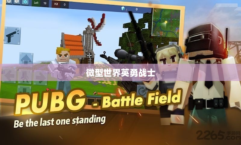 迷你忍着，微型世界的英勇战士