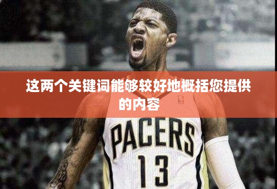重生之冠军篮球经理