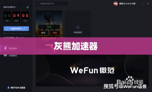 灰熊加速器，引领网络时代的极速引擎
