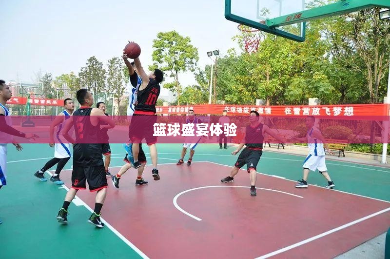 NBA中文版游戏下载,体验篮球盛宴的绝佳途径 NBA中文版游戏下载,体验篮球盛宴的绝佳途径