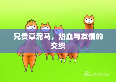 兄贵草泥马，热血与友情的交织