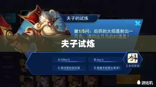 夫子试炼，探索知识与智慧的旅程