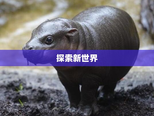 最新网游公测列表,探索新世界的无限可能 最新网游公测列表,探索新世界的无限可能